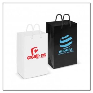 Laminated Paper Carry Bags