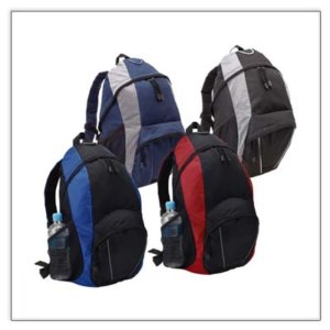 Polaris Backpack