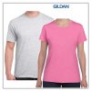 Gildan Cotton T Shirt